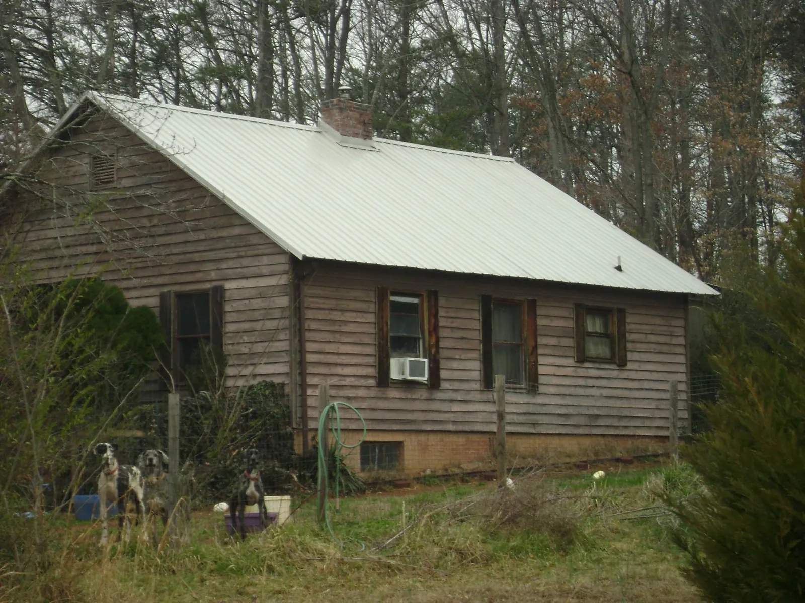 White metal roof on an old wood sided farmhouse, from a Asphalt Shingle Roof Repair job in Crozet